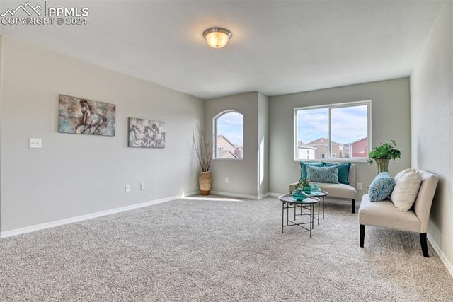 10908 Hidden Prairie Parkway