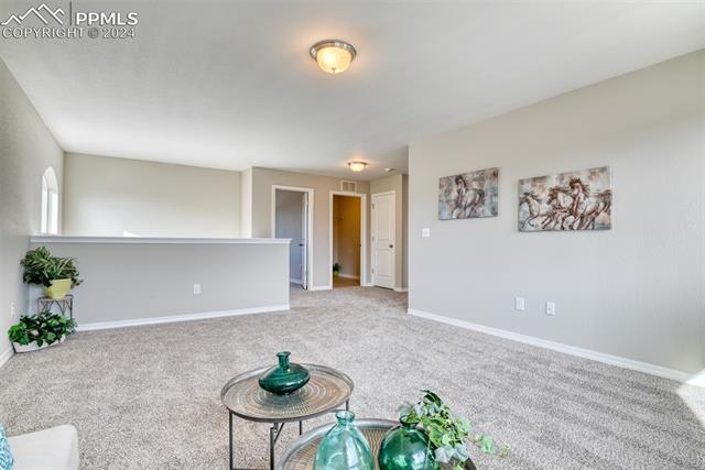 10908 Hidden Prairie Parkway