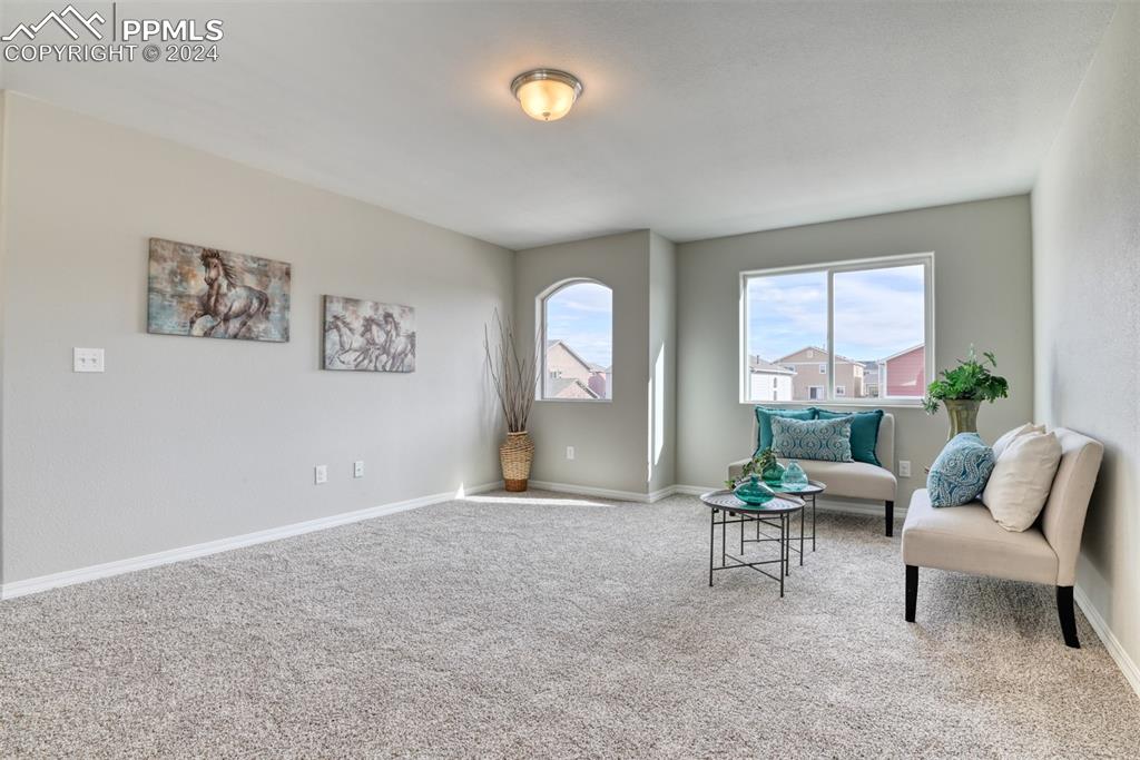 10908 Hidden Prairie Parkway