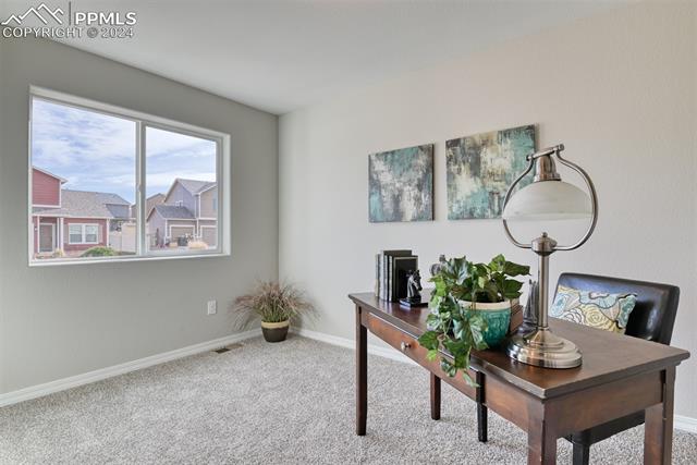 10908 Hidden Prairie Parkway