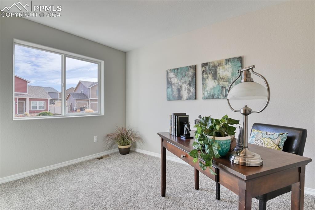 10908 Hidden Prairie Parkway