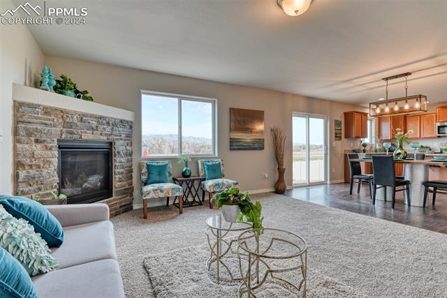 10908 Hidden Prairie Parkway