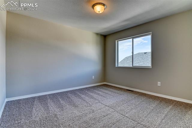 10908 Hidden Prairie Parkway