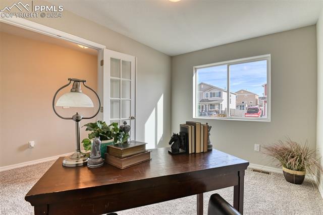 10908 Hidden Prairie Parkway