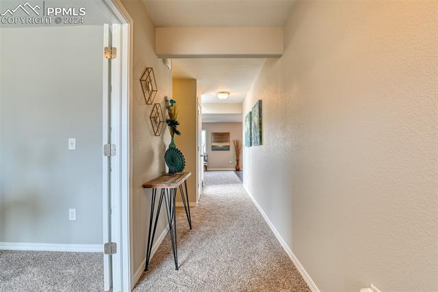 10908 Hidden Prairie Parkway