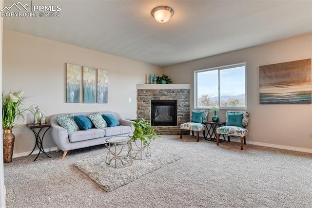 10908 Hidden Prairie Parkway