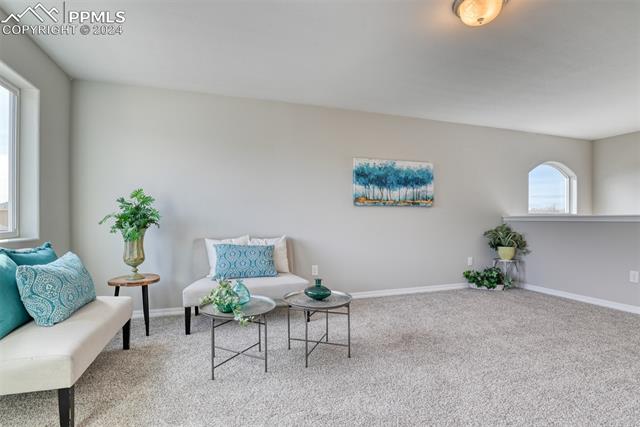 10908 Hidden Prairie Parkway