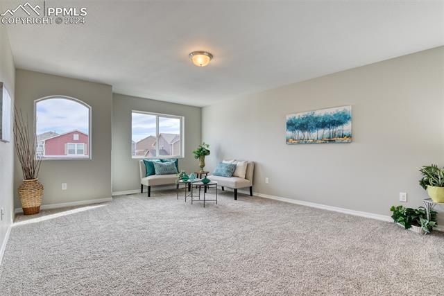 10908 Hidden Prairie Parkway