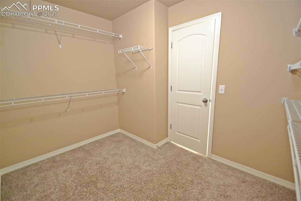 4087 Silver Star Grove