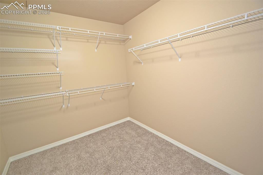 4087 Silver Star Grove