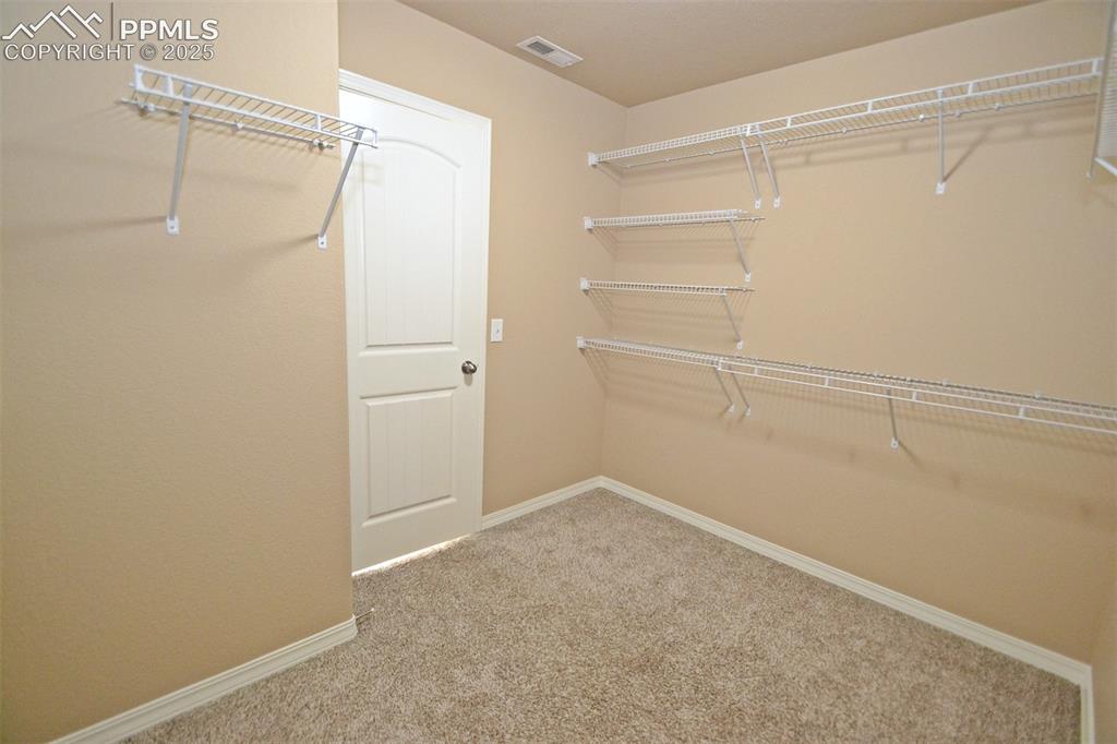 4087 Silver Star Grove