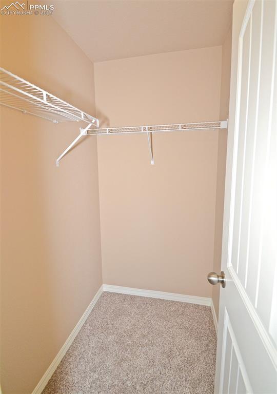 4087 Silver Star Grove