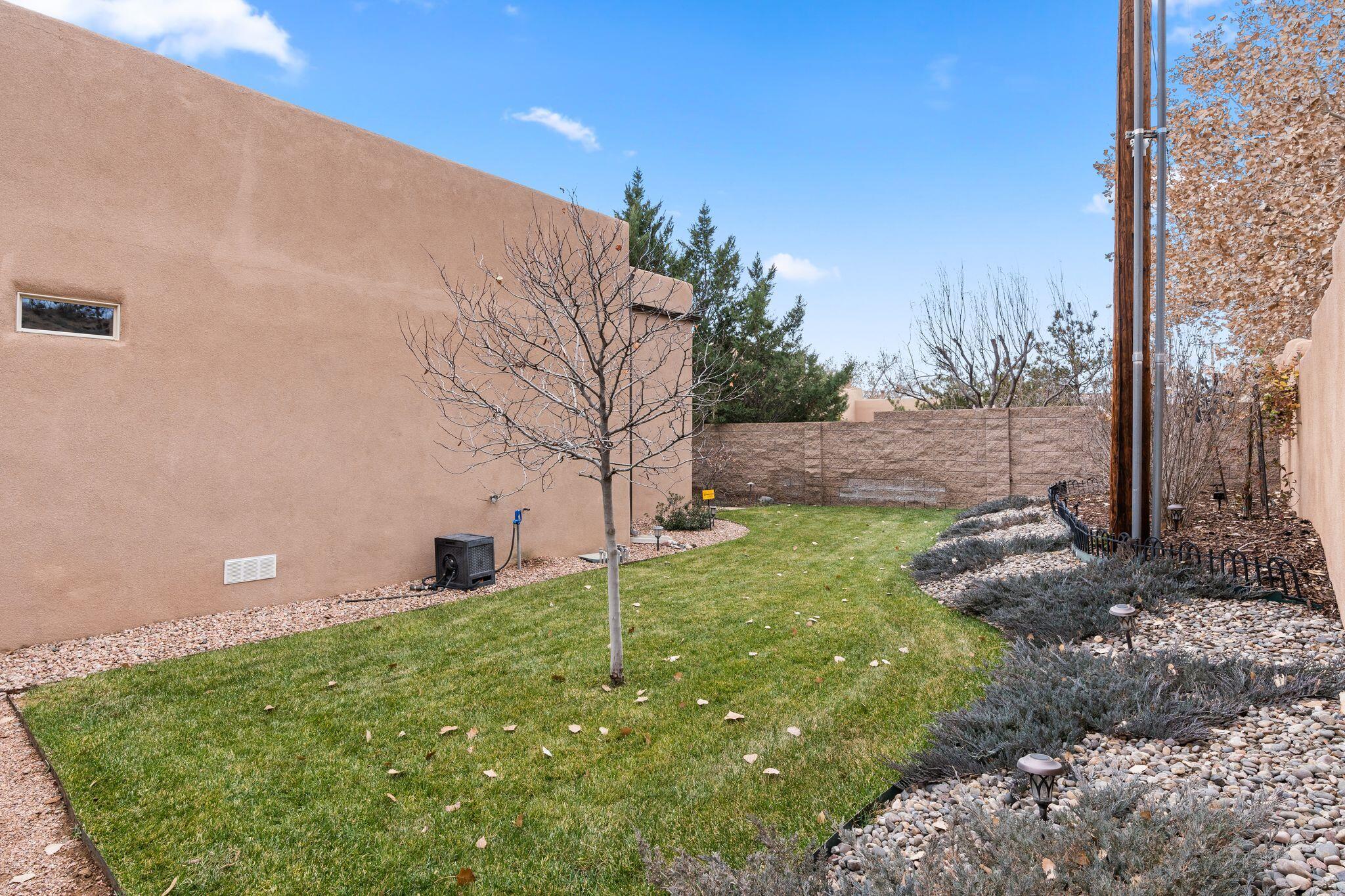 324 PLAZA MUCHOMAS