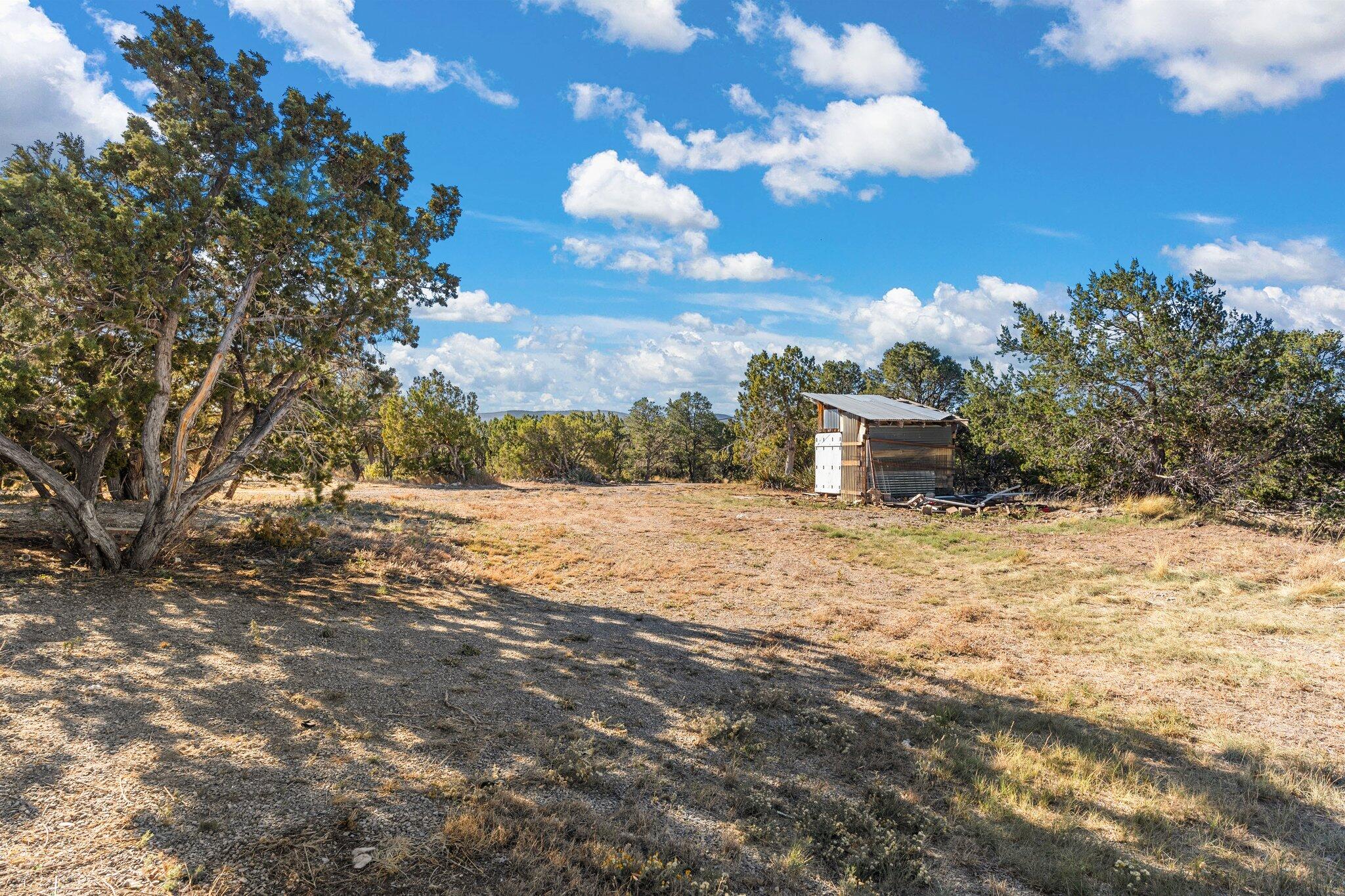 75 Woodland Drive