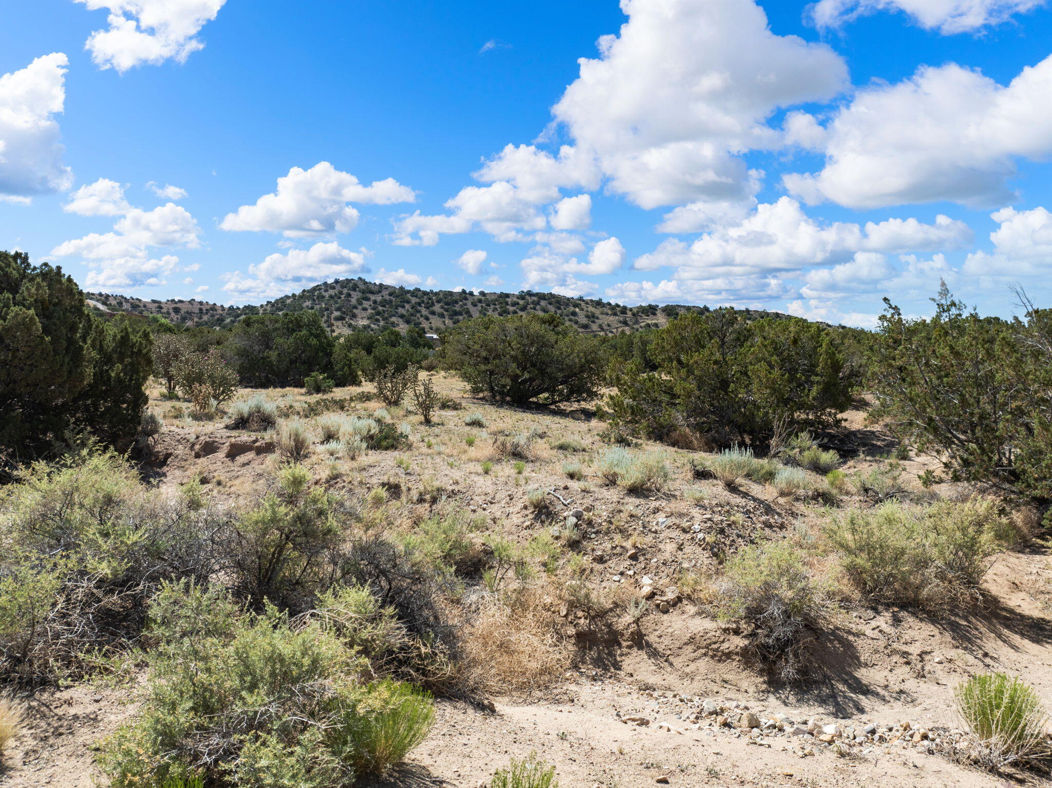 Camino De Las Huertas