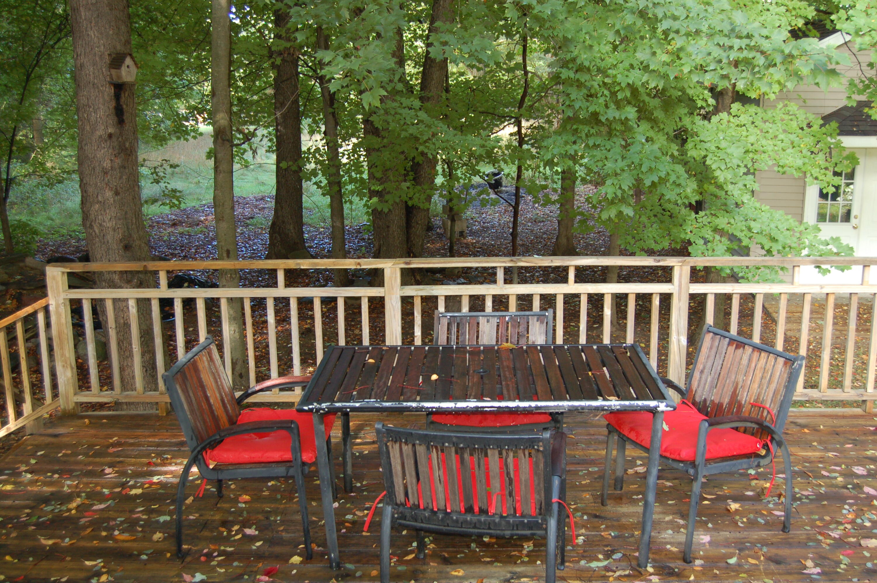 11121 Timberline Drive
