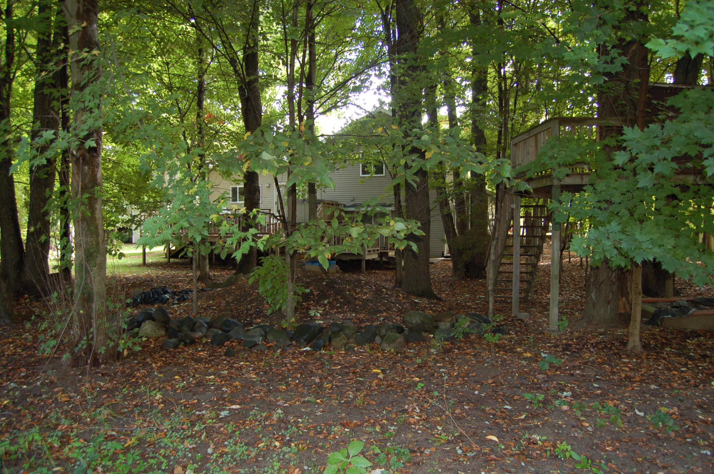 11121 Timberline Drive