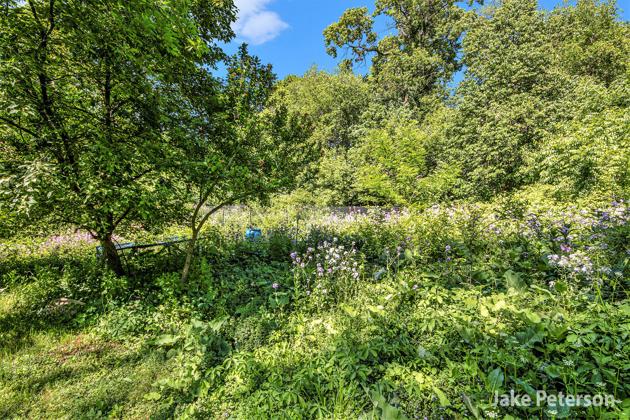 813/ 817 North Avenue