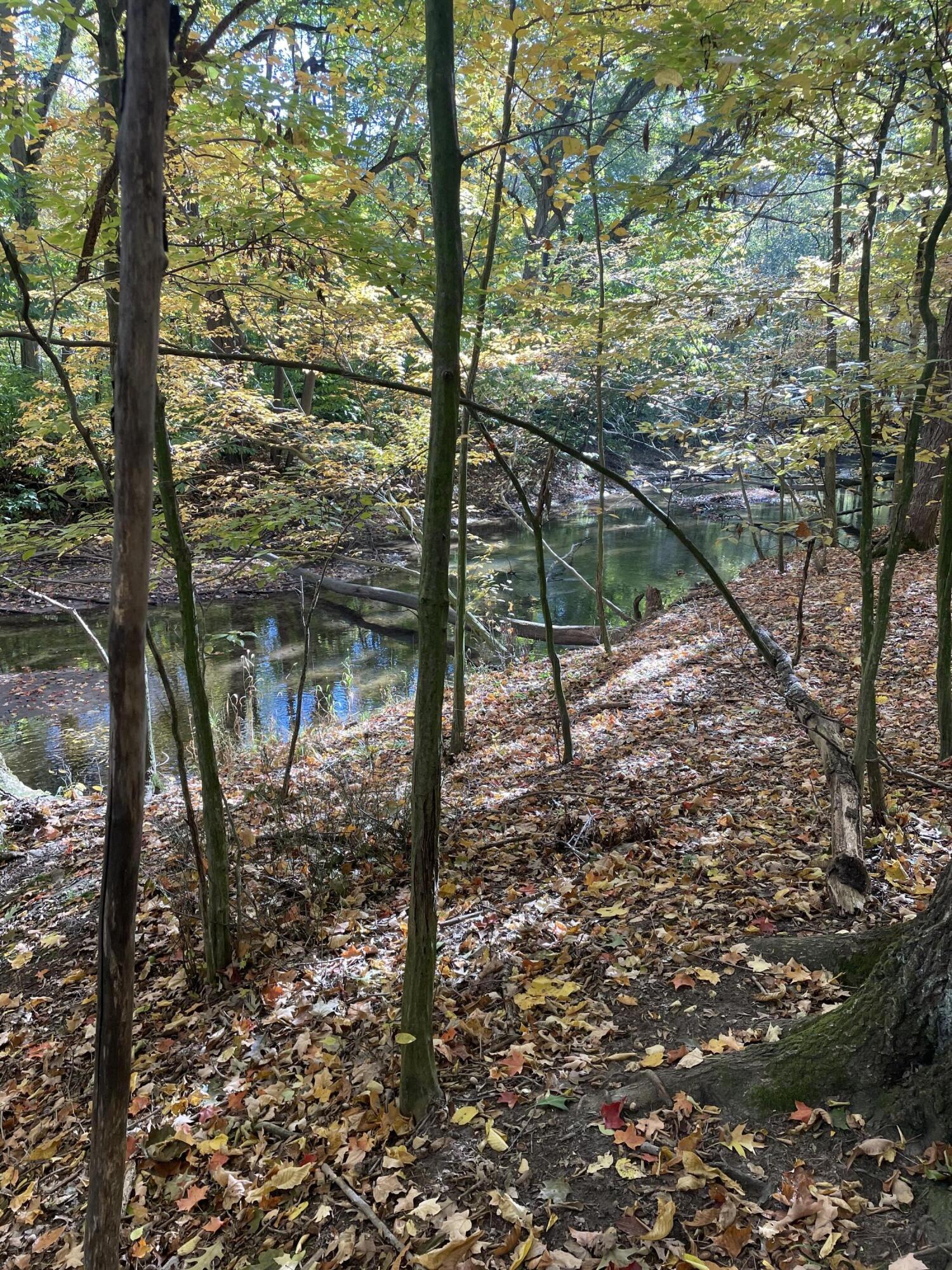 10488 26th Avenue NW