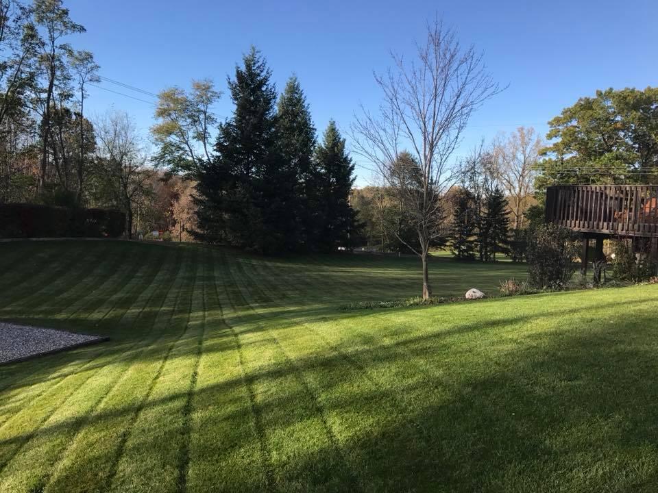 4406 Hickory Grove Court NE