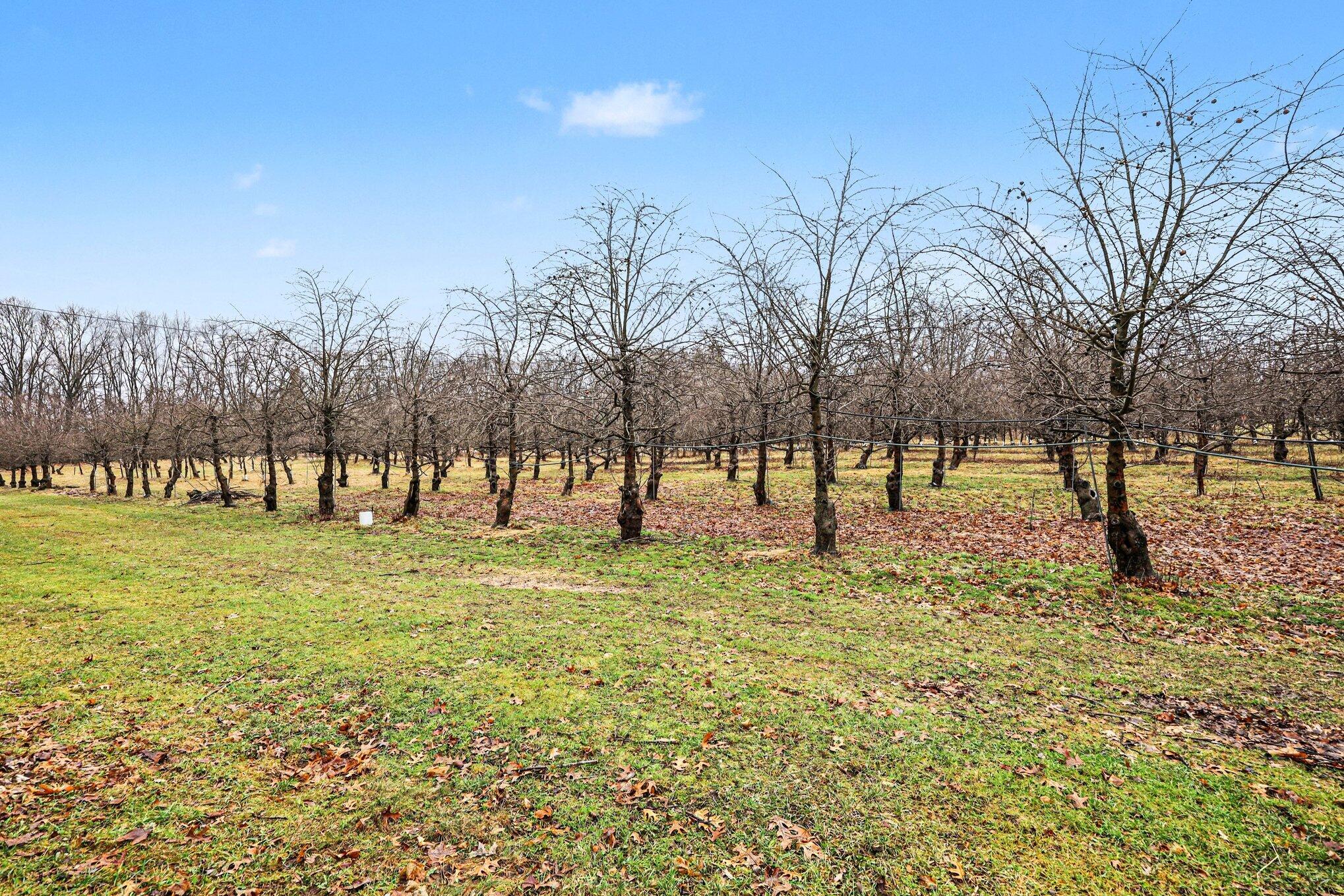 8183 Herrington Avenue NE