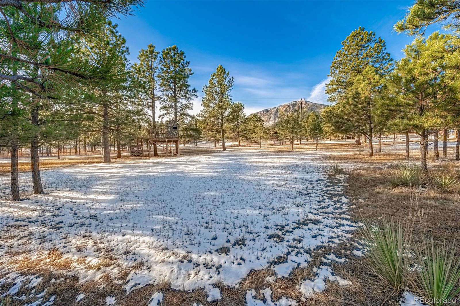 18325 Forest View Road