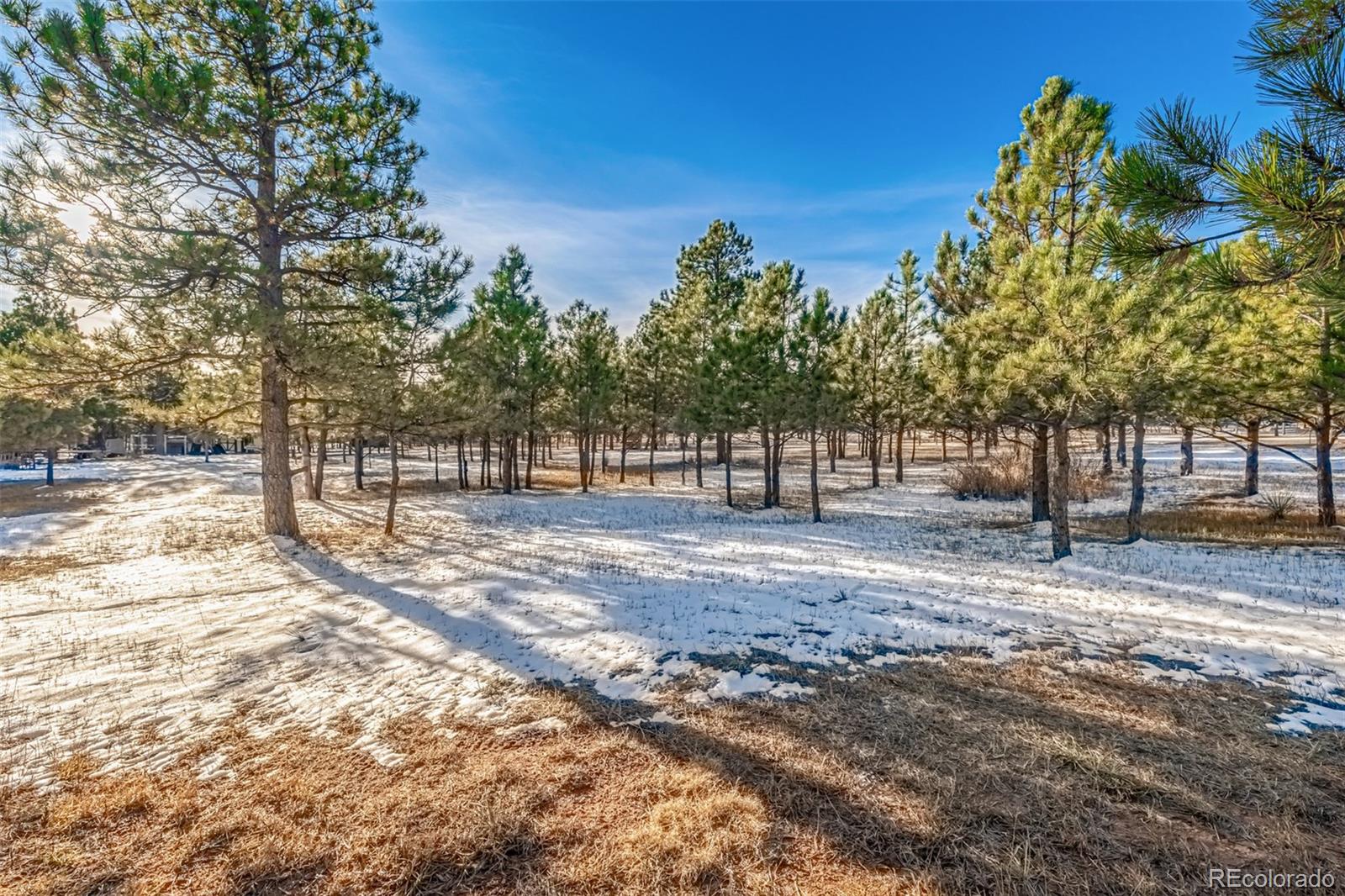 18325 Forest View Road