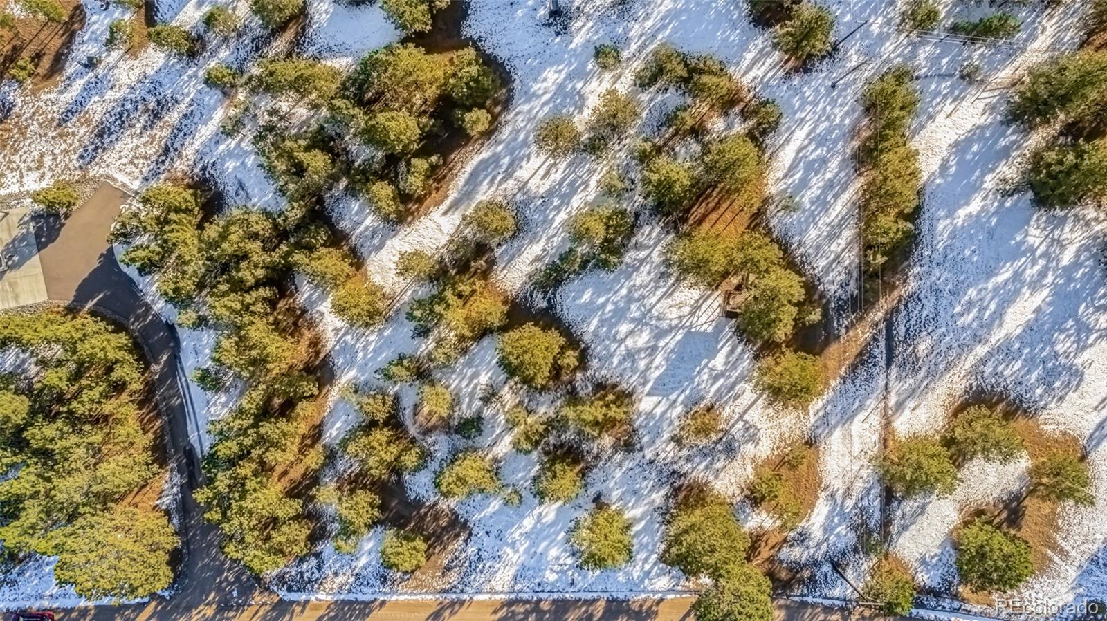 18325 Forest View Road