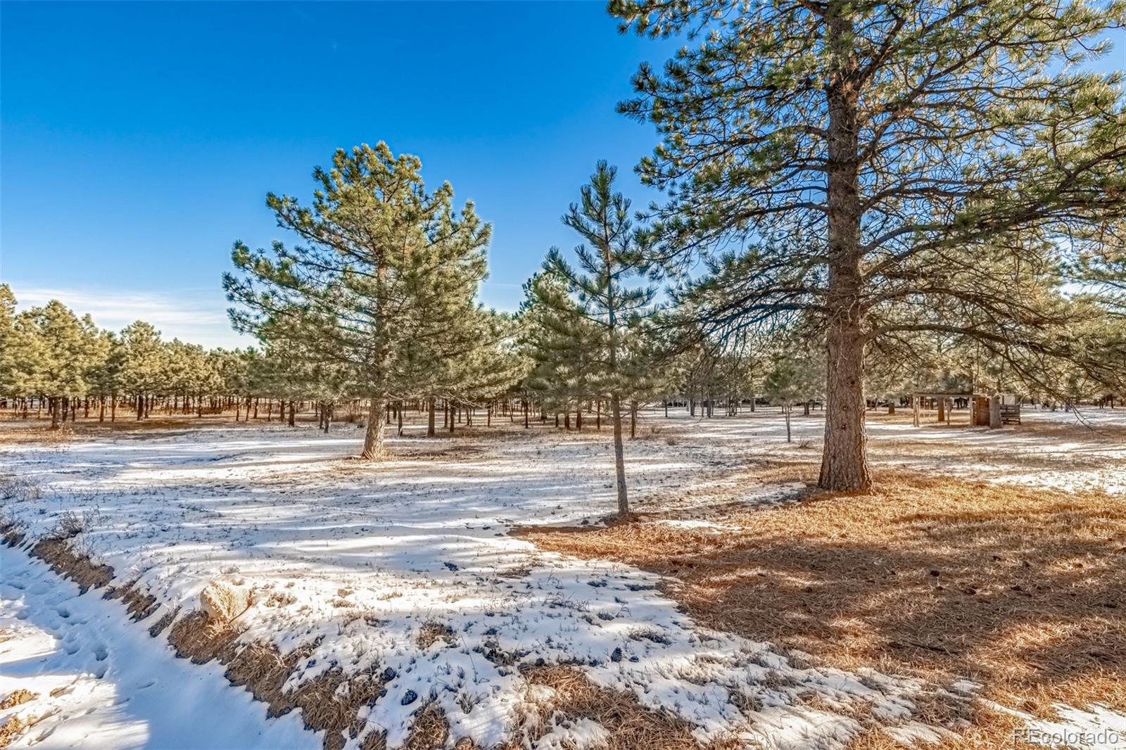 18325 Forest View Road