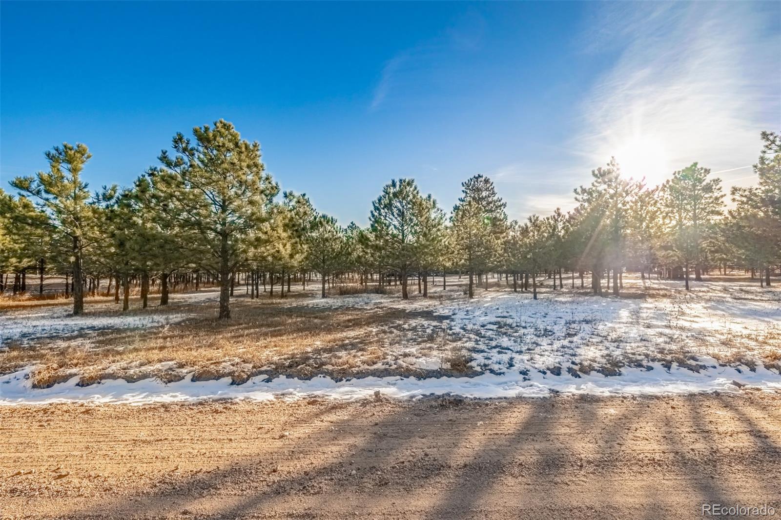 18325 Forest View Road