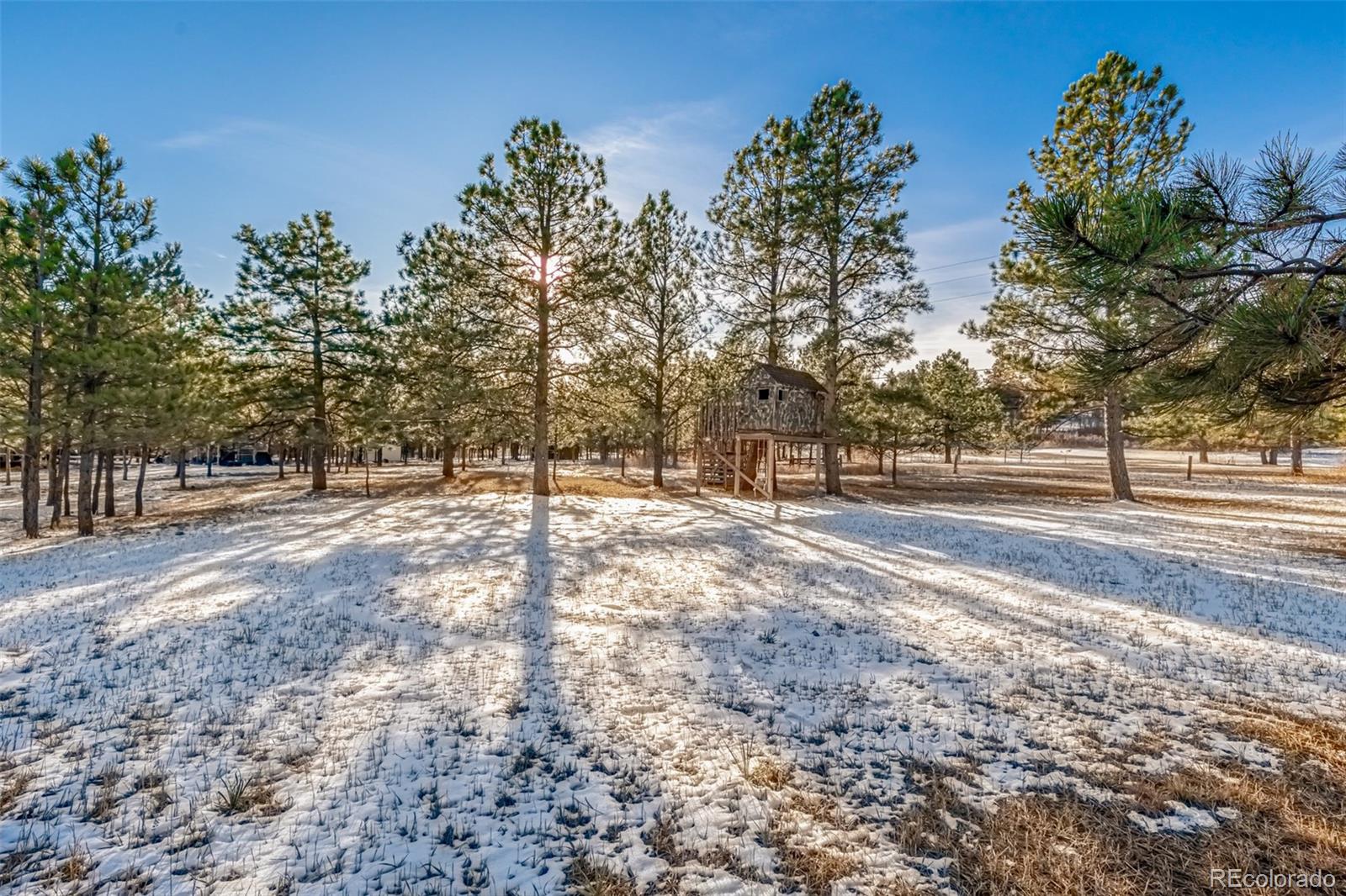 18325 Forest View Road