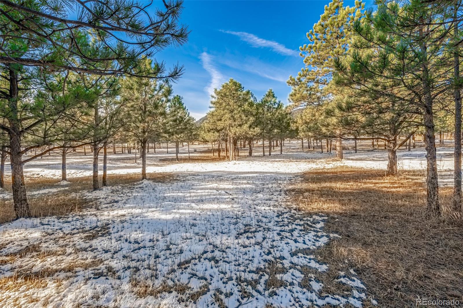 18325 Forest View Road