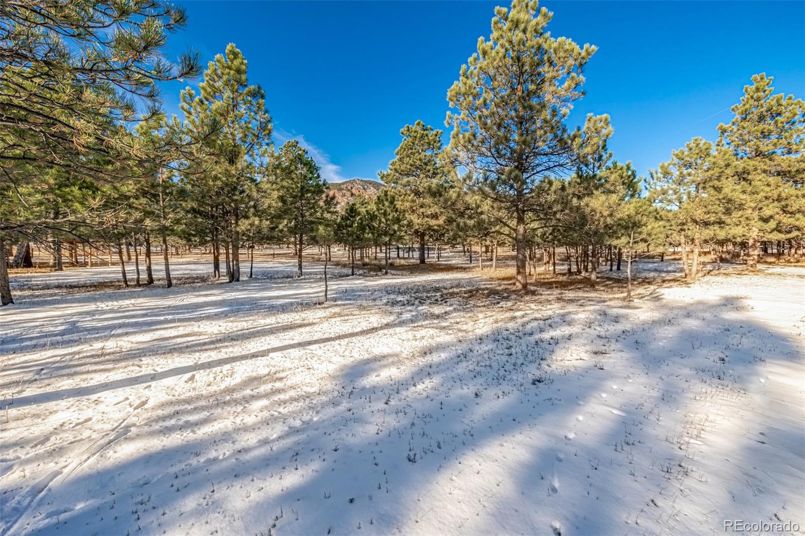 18325 Forest View Road