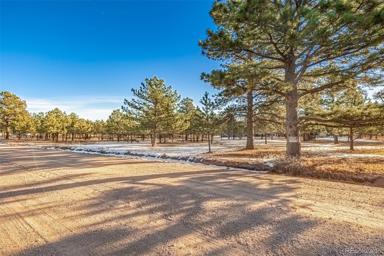 18325 Forest View Road