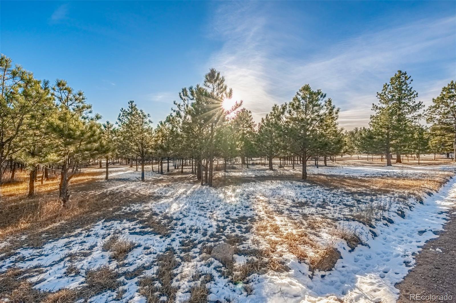 18325 Forest View Road