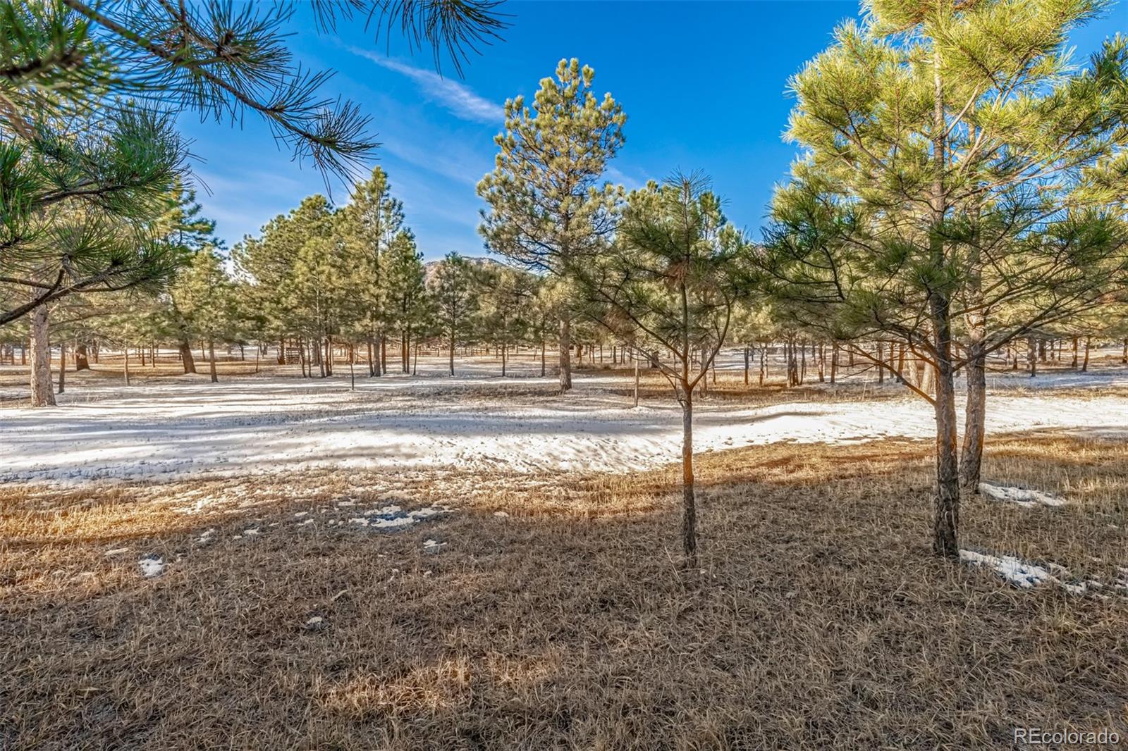 18325 Forest View Road