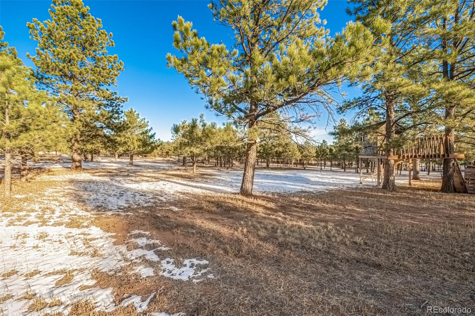 18325 Forest View Road