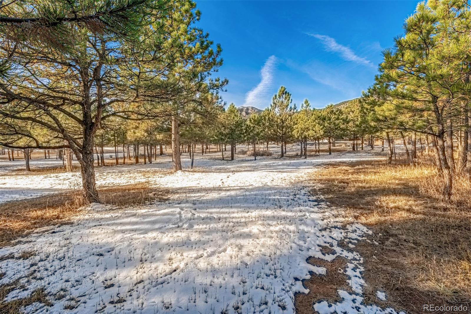 18325 Forest View Road