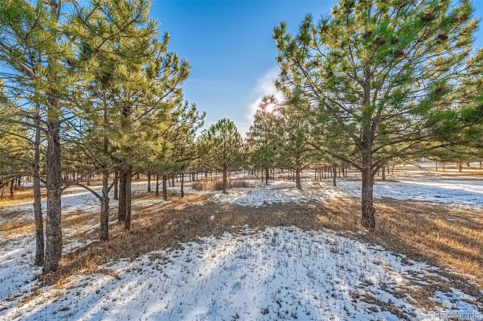 18325 Forest View Road