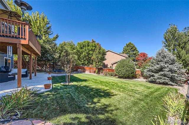 3509 Buffalo Grass Lane