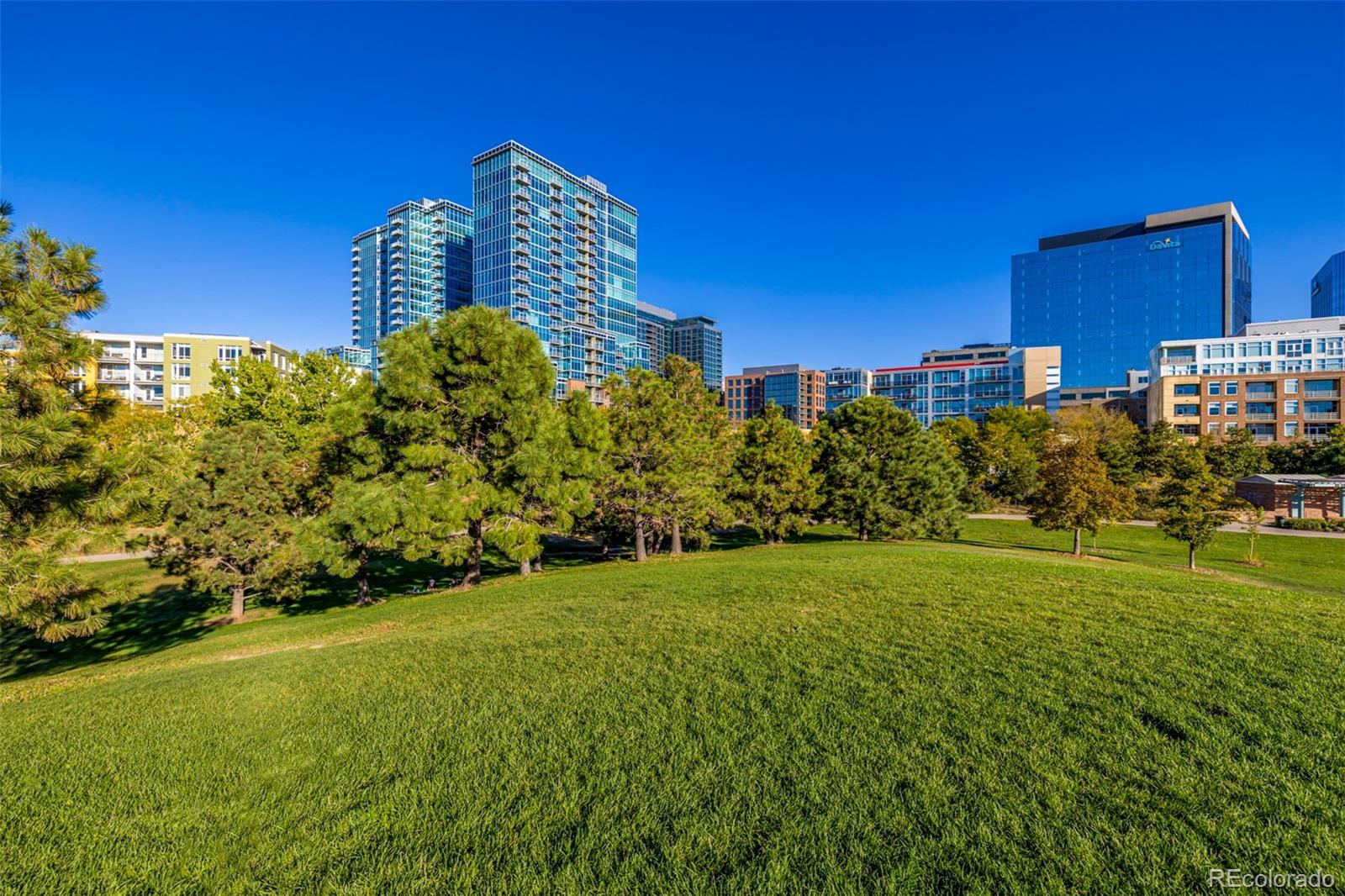 1620 Little Raven Street Unit: 302