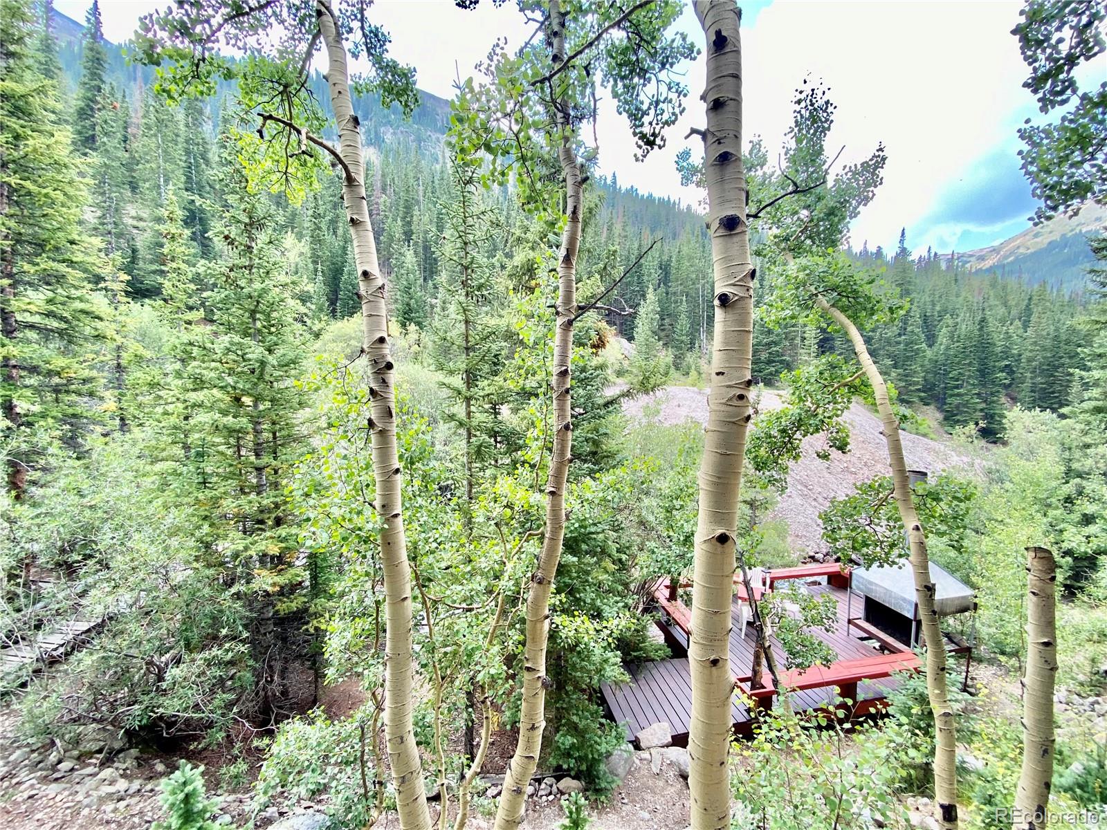 1781 Stevens Gulch Road