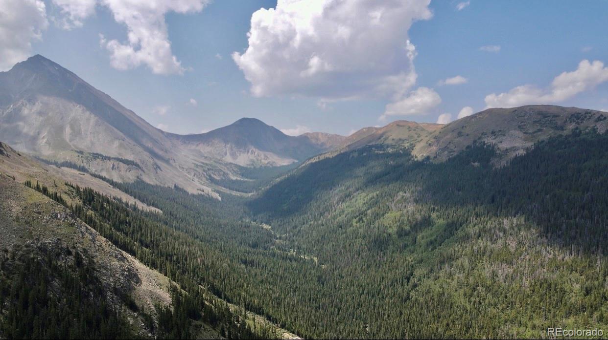 1781 Stevens Gulch Road