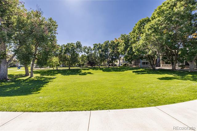 8335 Fairmount Drive Unit: 4-102