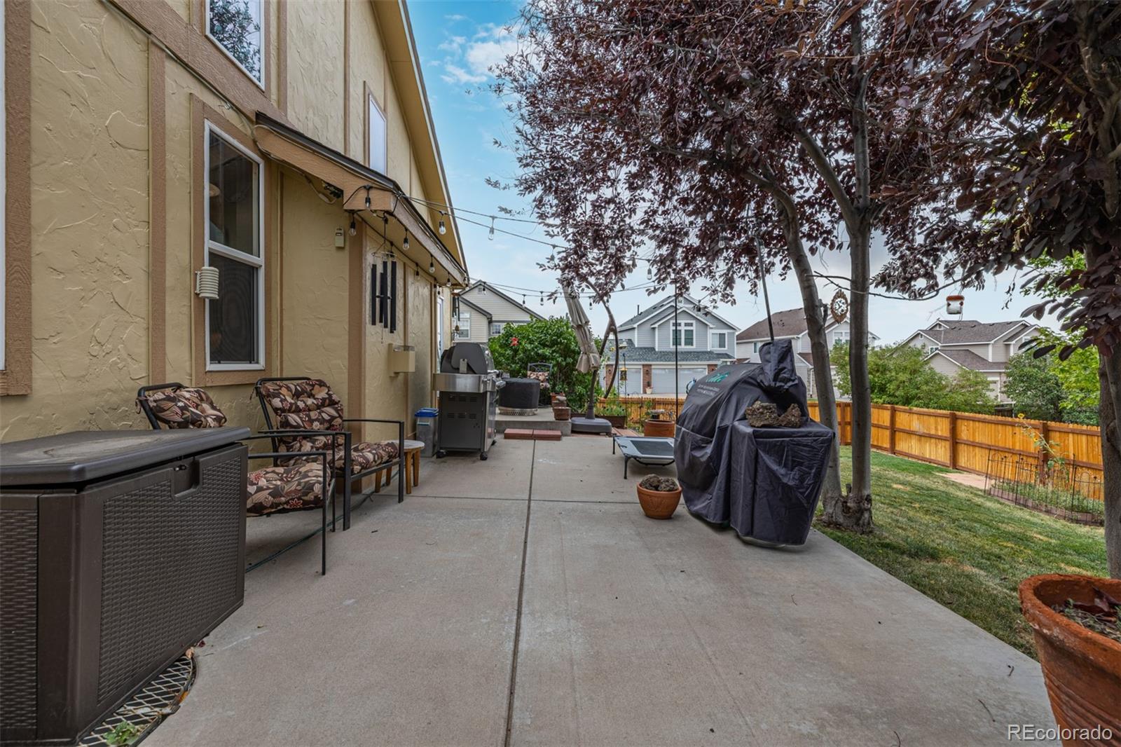 8463 Bed Straw Street