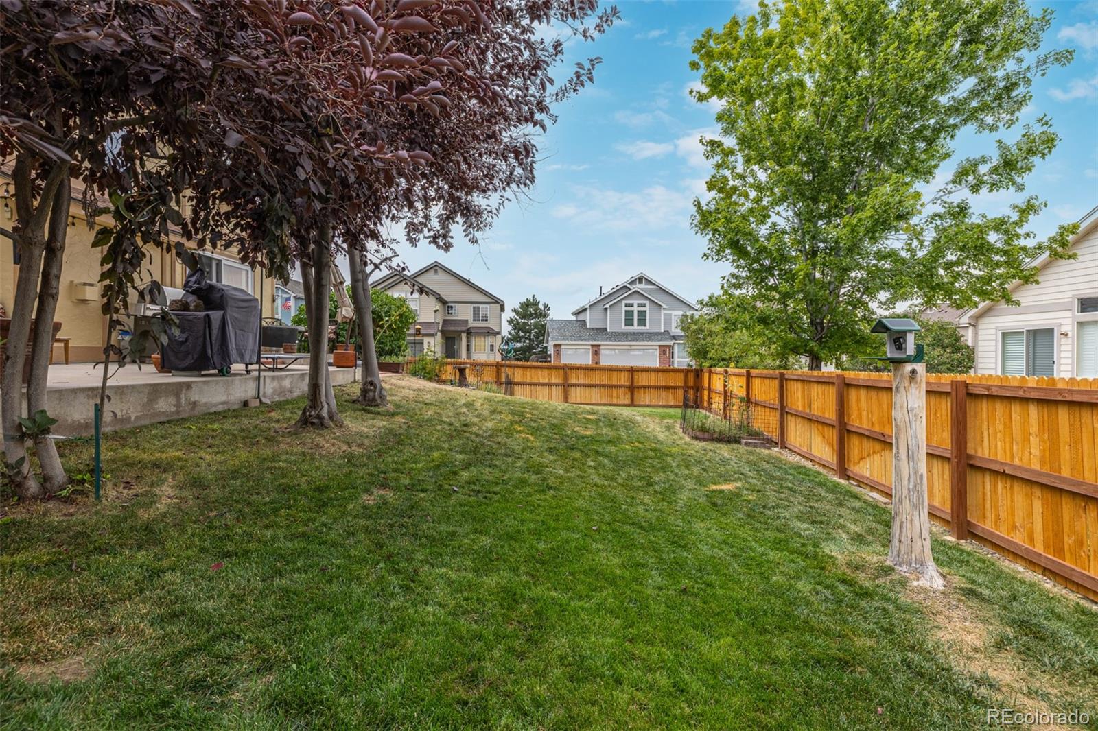 8463 Bed Straw Street