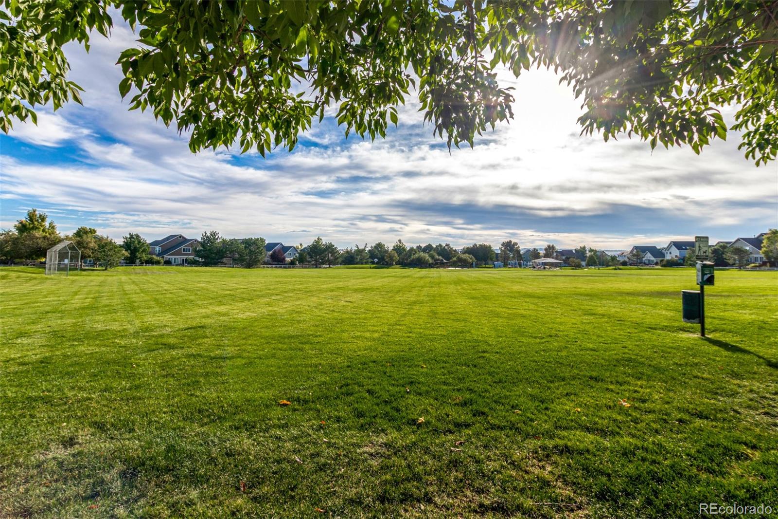 8463 Bed Straw Street