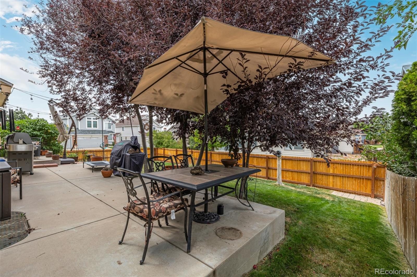 8463 Bed Straw Street