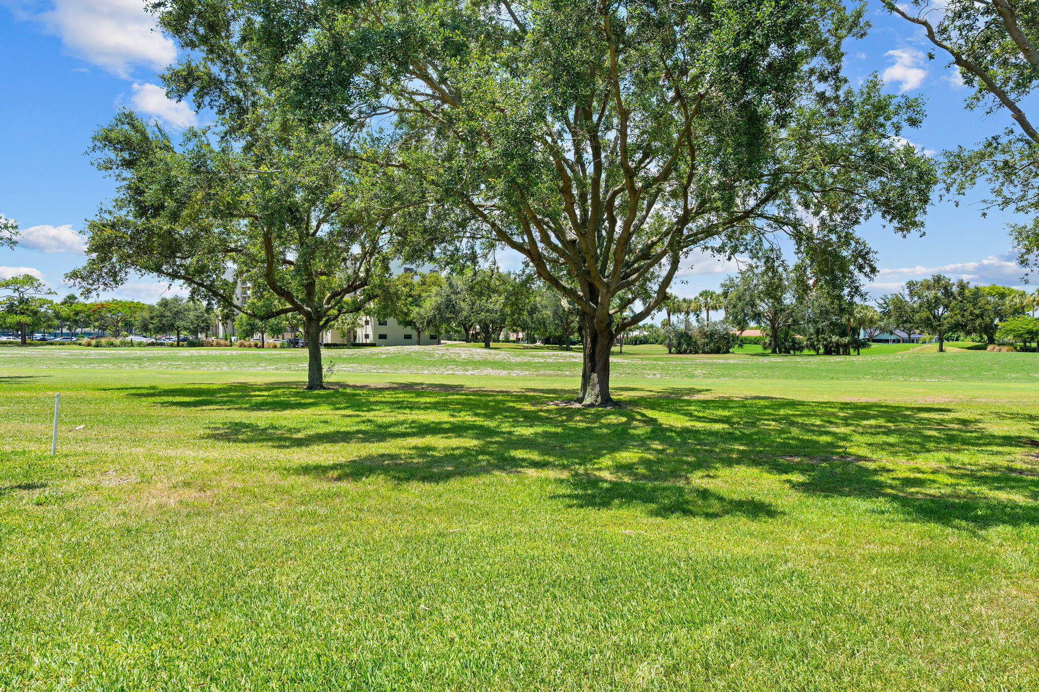 2247 Deer Creek Woodlands Way