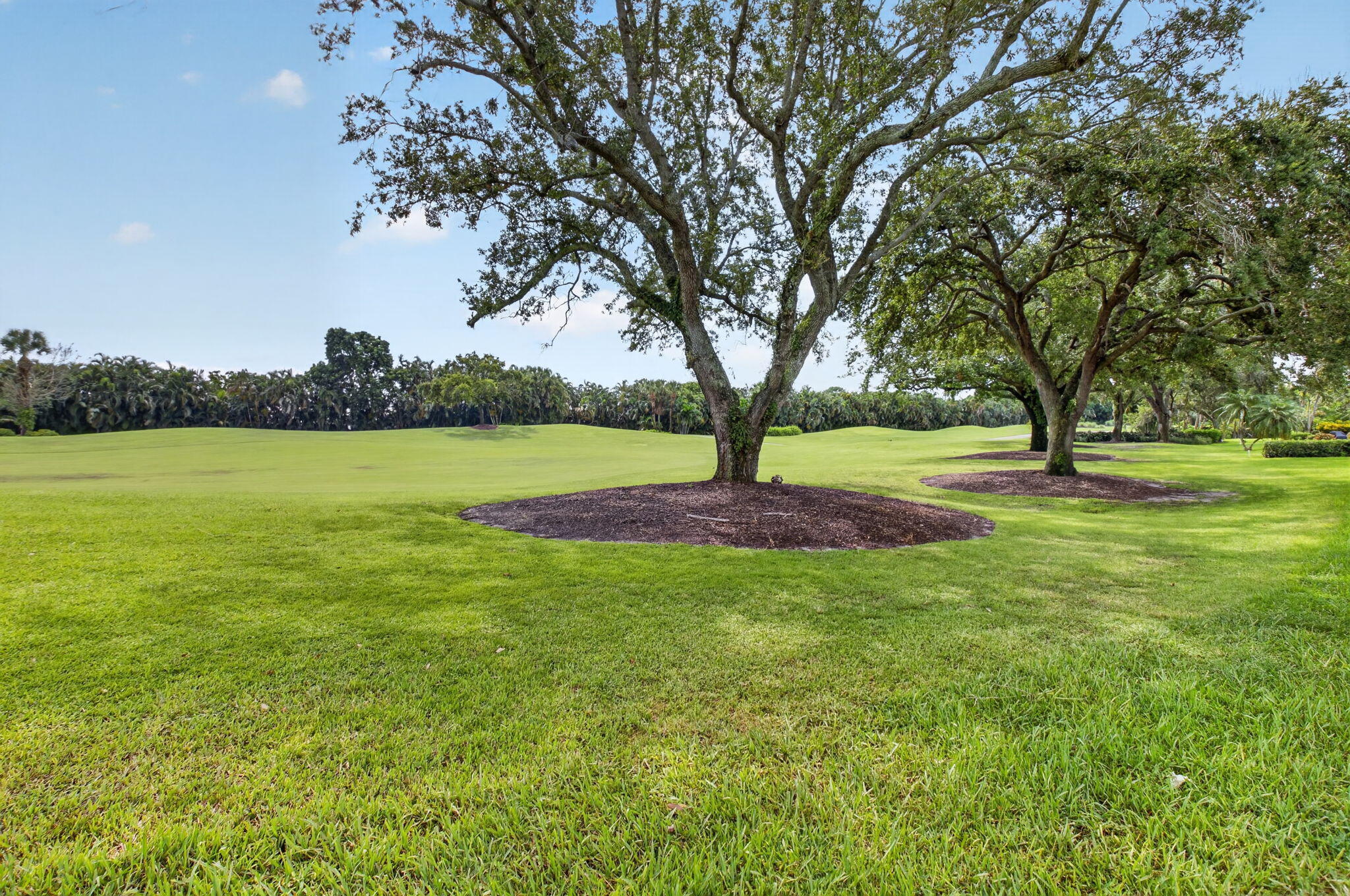 19950 Sawgrass Lane 5201